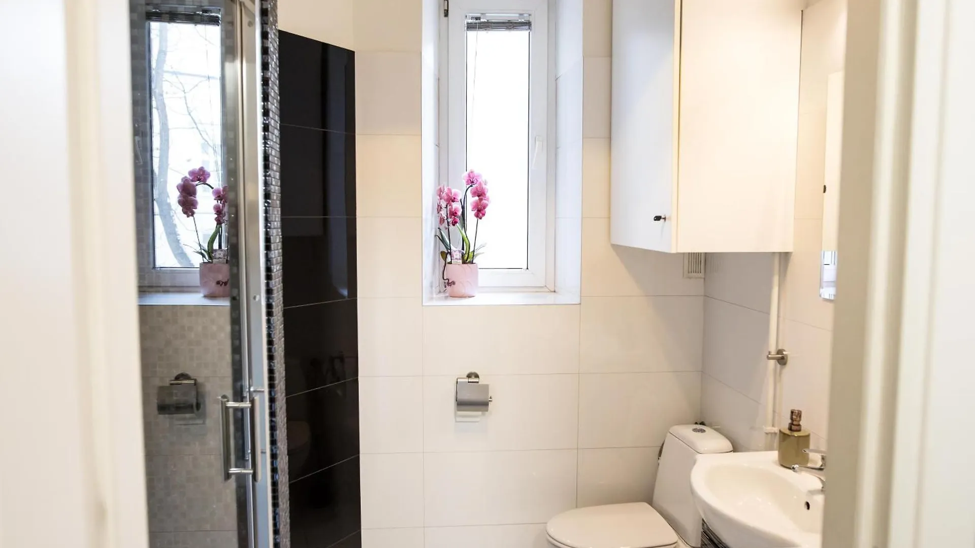 Cracwow Old Town Apartment Cracovie